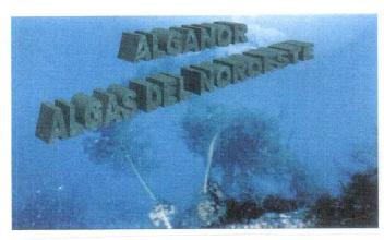 ALGANOR ALGAS DEL NOROESTE
