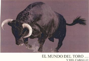 EL MUNDO DEL TORO Y DEL CABALLO