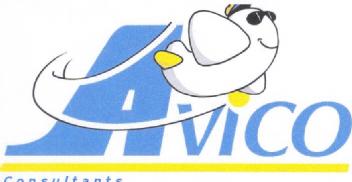 AVICO CONSULTANTS