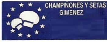 CHAMPIÑONES Y SETAS GIMENEZ