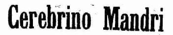 CEREBRINO MANDRI