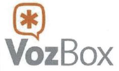 VOZ BOX