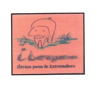IBERPEX IBERICOS PUROS DE EXTREMADURA