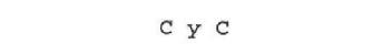 C Y C