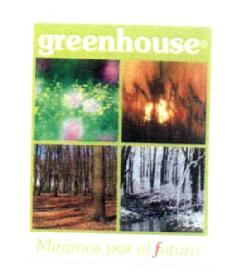GREENHOUSE MIRAMOS POR EL FUTURO