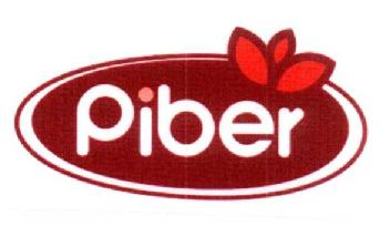 PIBER