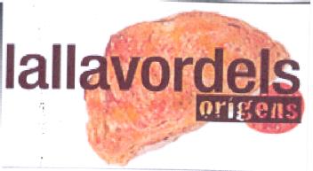 LALLAVORDELS ORIGENS