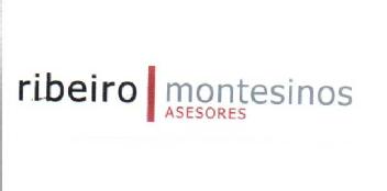 RIBEIRO MONTESINOS ASESORES