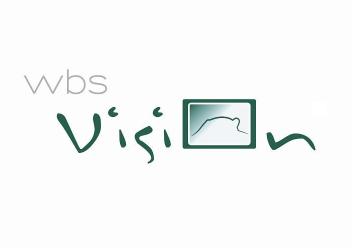 WBS VISION