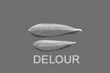 DELOUR