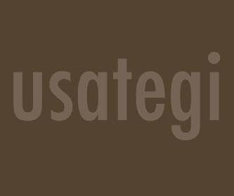 USATEGI