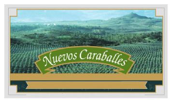 NUEVOS CARABALLES
