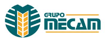 GRUPO MECAM