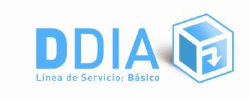 DDIA LINEA DE SERVICIO: BASICO