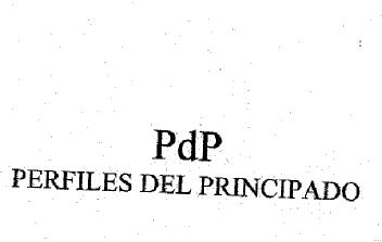 PDP PERFILES DEL PRINCIPADO