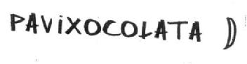PAVIXOCOLATA