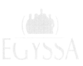 EGYSSA