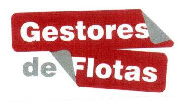 GESTORES DE FLOTAS