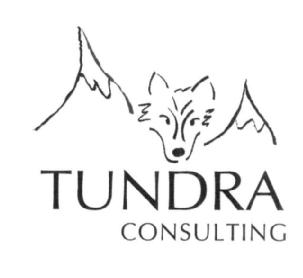 TUNDRA CONSULTING