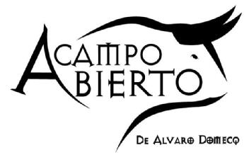A CAMPO ABIERTO DE ALVARO DOMECQ