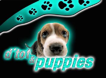 D TOT & PUPPIES