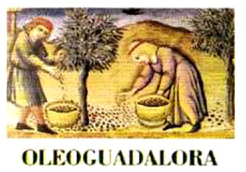 OLEOGUADALORA