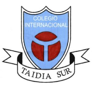 COLEGIO INTERNACIONAL TAIDIA SUR