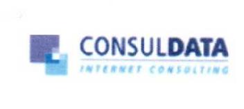 CONSULDATA INTERNET CONSULTING