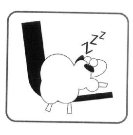 Z Z Z