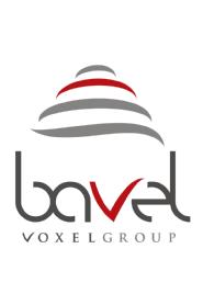 BAVEL VOXELGROUP