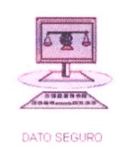 DATO SEGURO