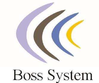 BOSS SYSTEM