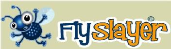 FLYSLAYER