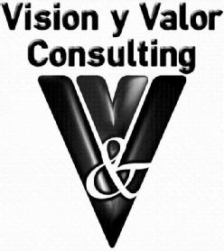VISION Y VALOR CONSULTING V & V