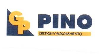 GP PINO GESTION Y ASESORAMIENTO