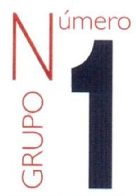 GRUPO NUMERO 1