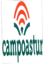 CAMPOASTUR