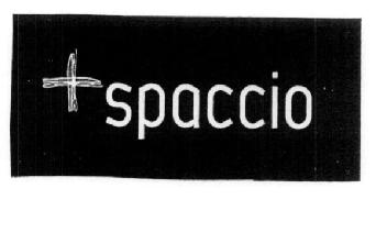+ SPACCIO