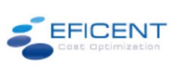 EFICENT COST OPTIMIZATION