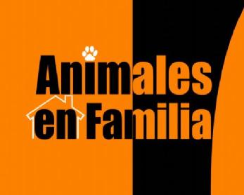 ANIMALES EN FAMILIA