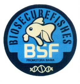 BSF PROMOTORA BAMA BIO SECURE FISHES