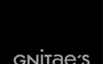 GNITAE'S