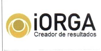 IORGA CREADOR DE RESULTADOS