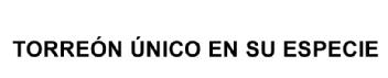 TORREON UNICO EN SU ESPECIE