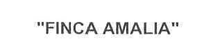 FINCA AMALIA
