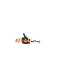EFI-CAR TALLERES
