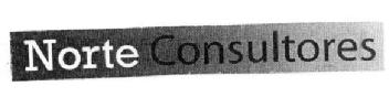 NORTE CONSULTORES