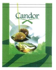 CANDOR