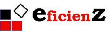 EFICIENZ