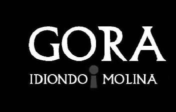 GORA IDIONDO I MOLINA